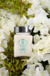 La Sultane De Saba Beurre de Karite Shea Butter Aloe Vera Tiare Flowers Масло Каріте Тіаре та Алое Вера, 300мл — Photo 5