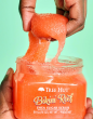 Tree Hut Bikini Reef Sugar Scrub Скраб для тіла БІКІНІ-РИФ, 510гр — Photo 13