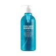 Esthetic House CP-1 Cool Mint Shampoo Освіжуючий шампунь для волосся, 500мл — Photo 5